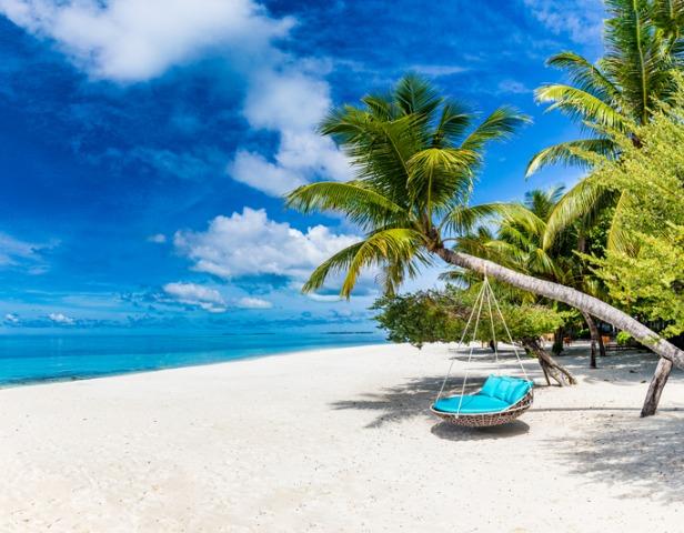 Caraibe