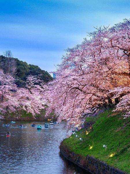 Tokyo