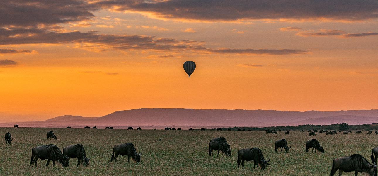 Masai Mara