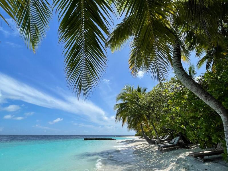 Maldive