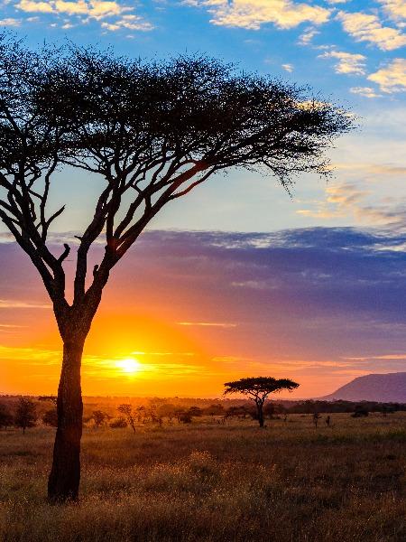 Serengeti