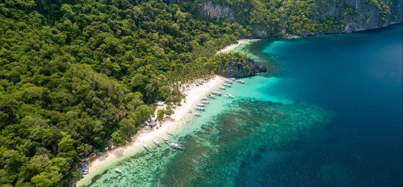Plajele de vis din Zanzibar