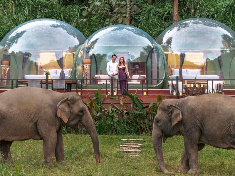 Anantara Golden Triangle Elephant Camp & Resort