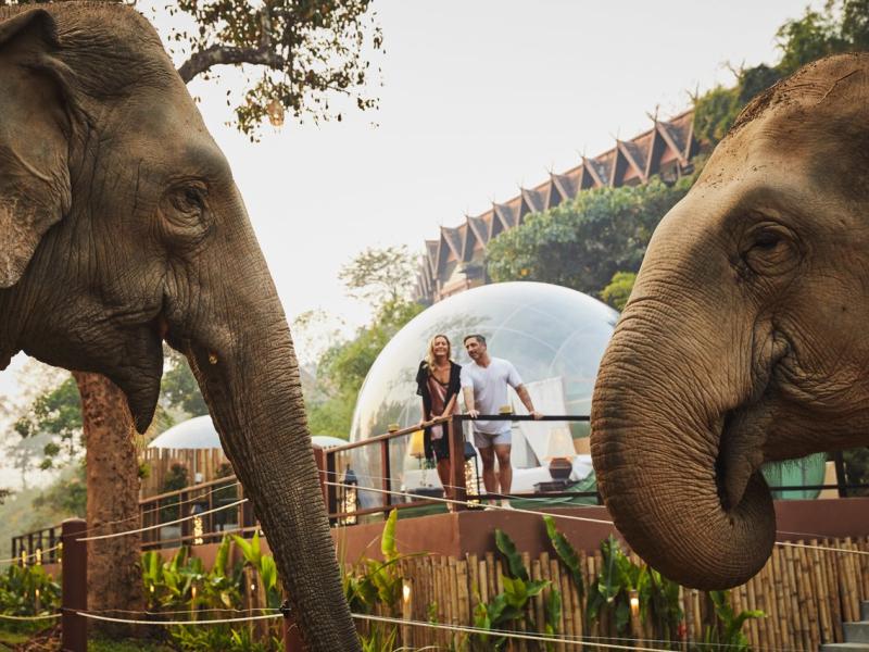 Anantara Golden Triangle Elephant Camp & Resort