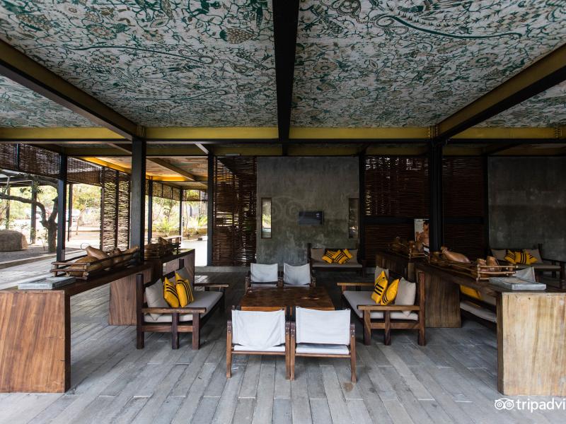 Cinnamon Wild Yala