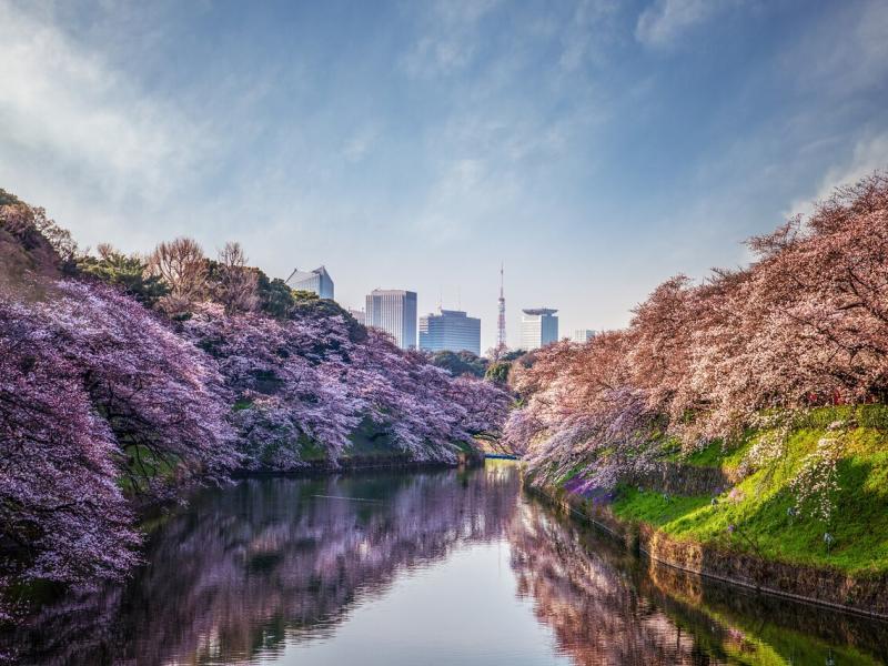 Four Seasons Hotel Tokyo at Otemachi