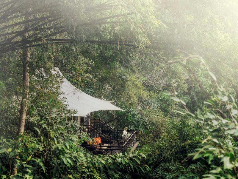 Four Seasons Tented Camp Golden Triangle, Thailand
