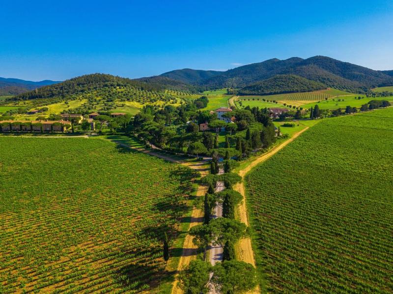 L'Andana Tenuta La Badiola