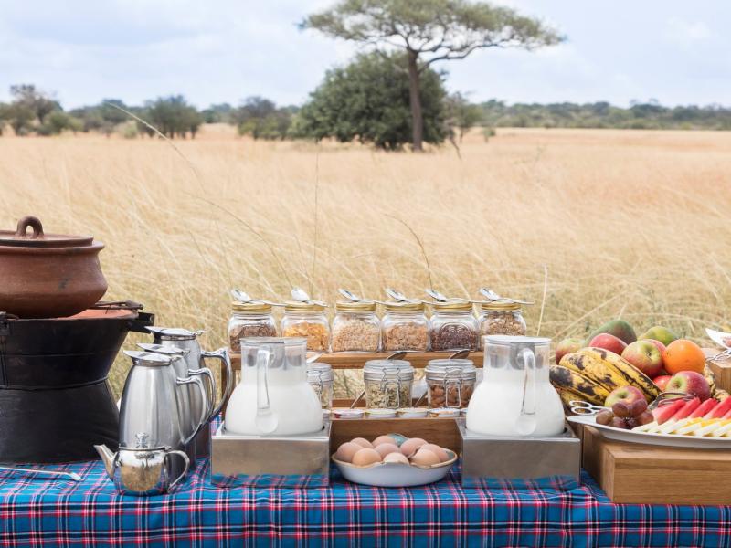 Melia Serengeti Lodge member of Melia Collection