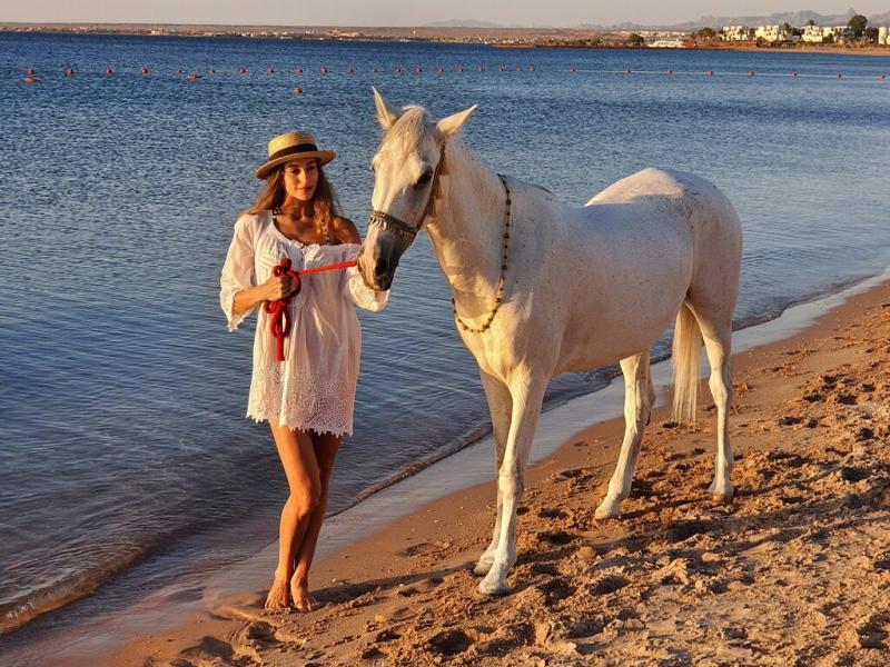 Rixos Premium Magawish Suites & Villas