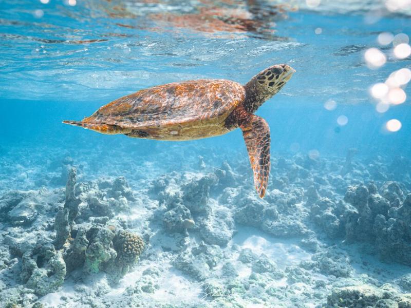 Soneva Fushi