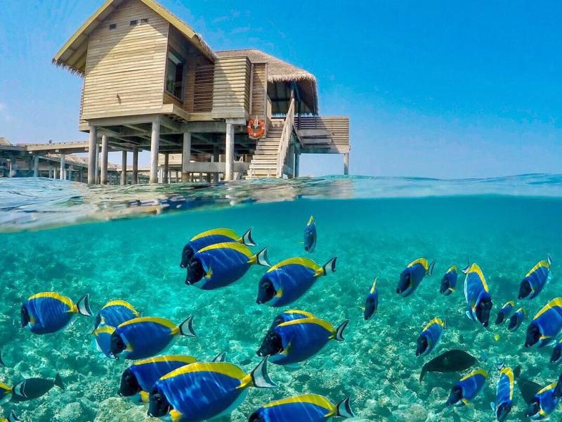Vakkaru Maldives
